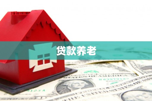 浪卡子贷款养老