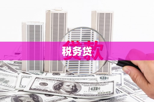 浪卡子税务贷