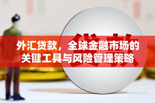浪卡子外汇贷款，全球金融市场的关键工具与风险管理策略