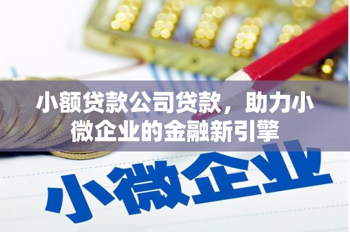 浪卡子小额贷款公司贷款，助力小微企业的金融新引擎