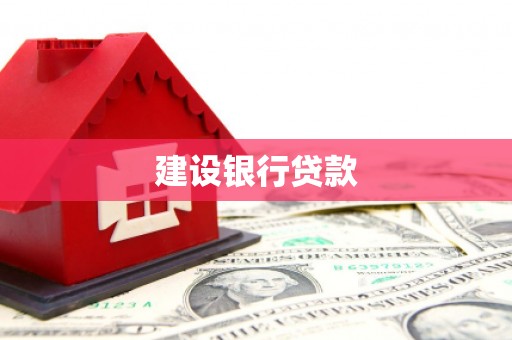 浪卡子建设银行贷款