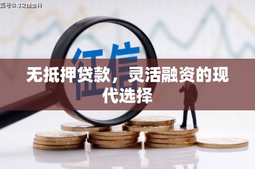 浪卡子无抵押贷款，灵活融资的现代选择