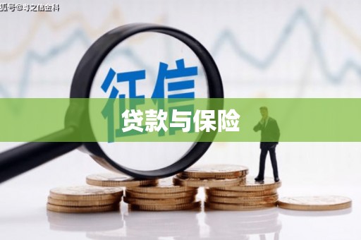 浪卡子贷款与保险