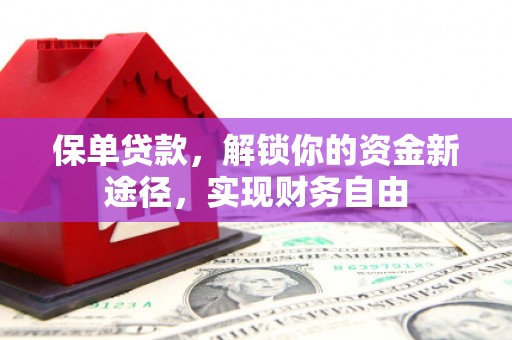 浪卡子保单贷款，解锁你的资金新途径，实现财务自由