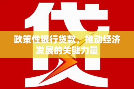浪卡子政策性银行贷款，推动经济发展的关键力量