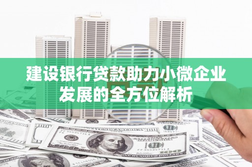 浪卡子建设银行贷款助力小微企业发展的全方位解析