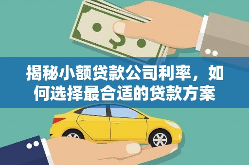 浪卡子揭秘小额贷款公司利率，如何选择最合适的贷款方案