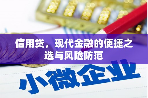 浪卡子信用贷，现代金融的便捷之选与风险防范