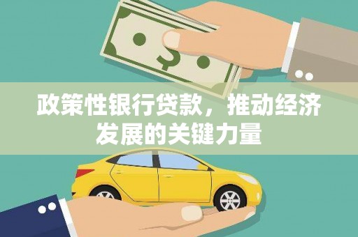 浪卡子政策性银行贷款，推动经济发展的关键力量