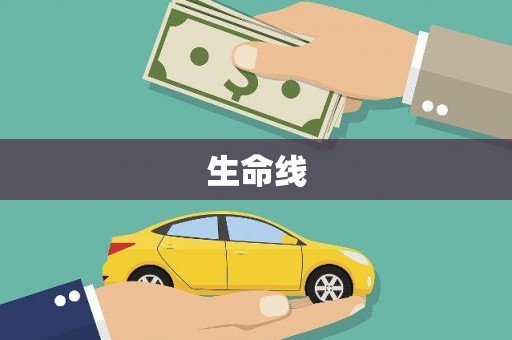 浪卡子生命线