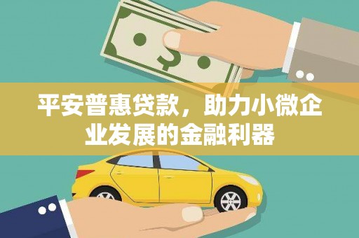 浪卡子平安普惠贷款，助力小微企业发展的金融利器