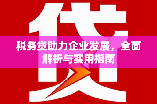 浪卡子税务贷助力企业发展，全面解析与实用指南
