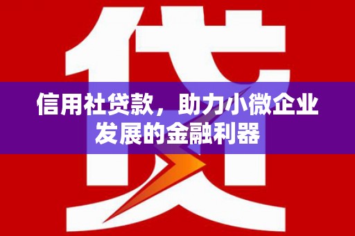 浪卡子信用社贷款，助力小微企业发展的金融利器
