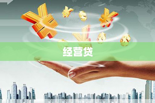 浪卡子经营贷