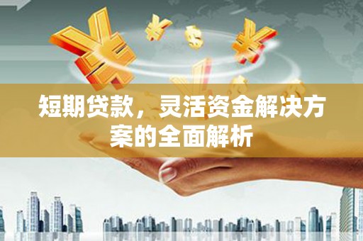 浪卡子短期贷款，灵活资金解决方案的全面解析