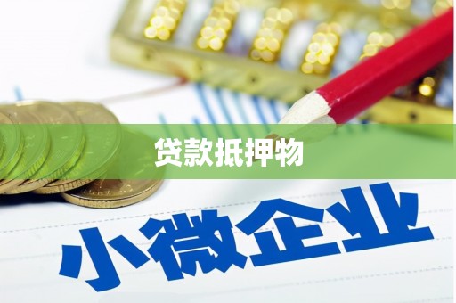 浪卡子贷款抵押物