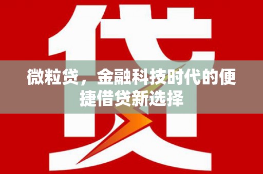 浪卡子微粒贷，金融科技时代的便捷借贷新选择