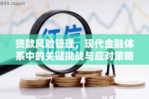 浪卡子贷款风险管理，现代金融体系中的关键挑战与应对策略