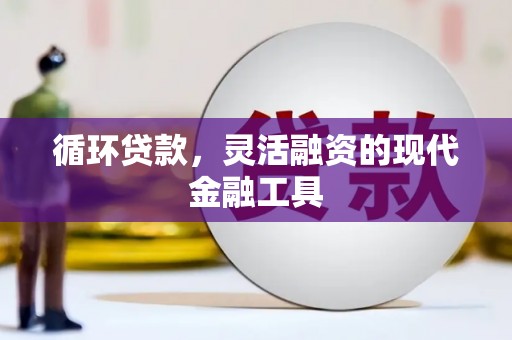 浪卡子循环贷款，灵活融资的现代金融工具