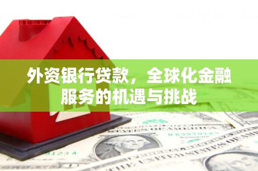 浪卡子外资银行贷款，全球化金融服务的机遇与挑战