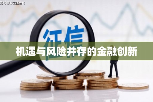 浪卡子机遇与风险并存的金融创新