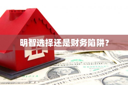 浪卡子明智选择还是财务陷阱？