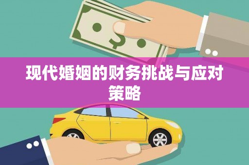 浪卡子现代婚姻的财务挑战与应对策略
