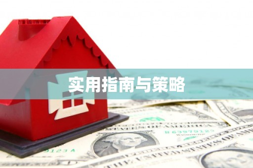 浪卡子实用指南与策略